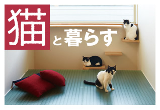 猫と暮らす