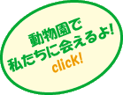 動物園で私たちに会えるよ！